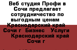 Веб-студия Профи в Сочи предлагает сотрудничество по выгодным ценам - Краснодарский край, Сочи г. Бизнес » Услуги   . Краснодарский край,Сочи г.